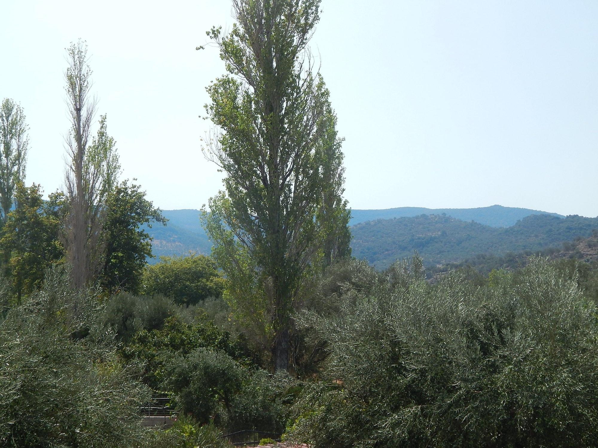 Anaxos Gardens Aparthotel Bagian luar foto