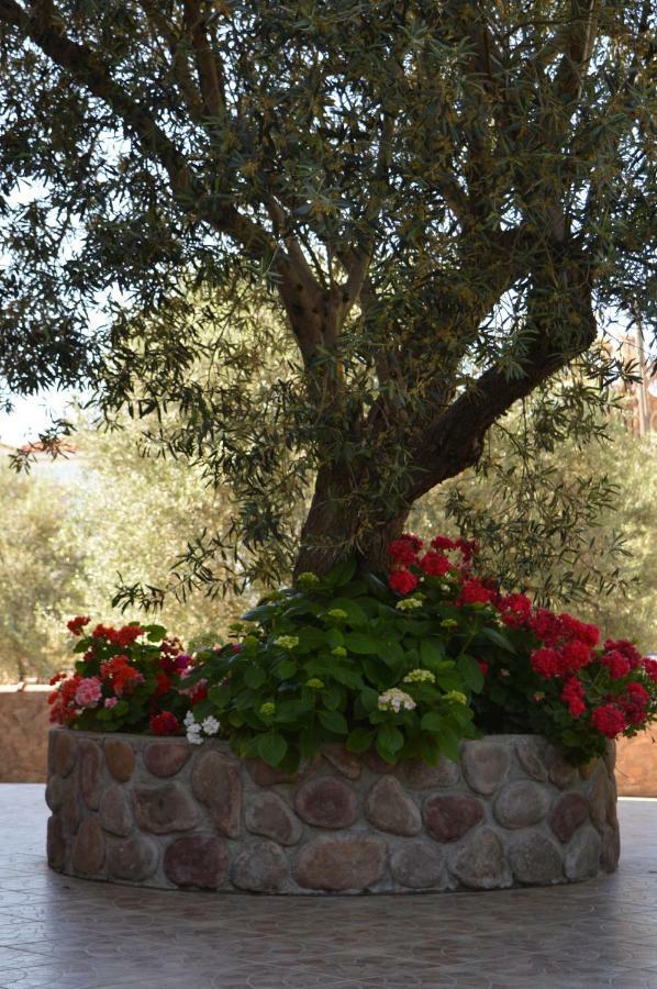 Anaxos Gardens Aparthotel Bagian luar foto
