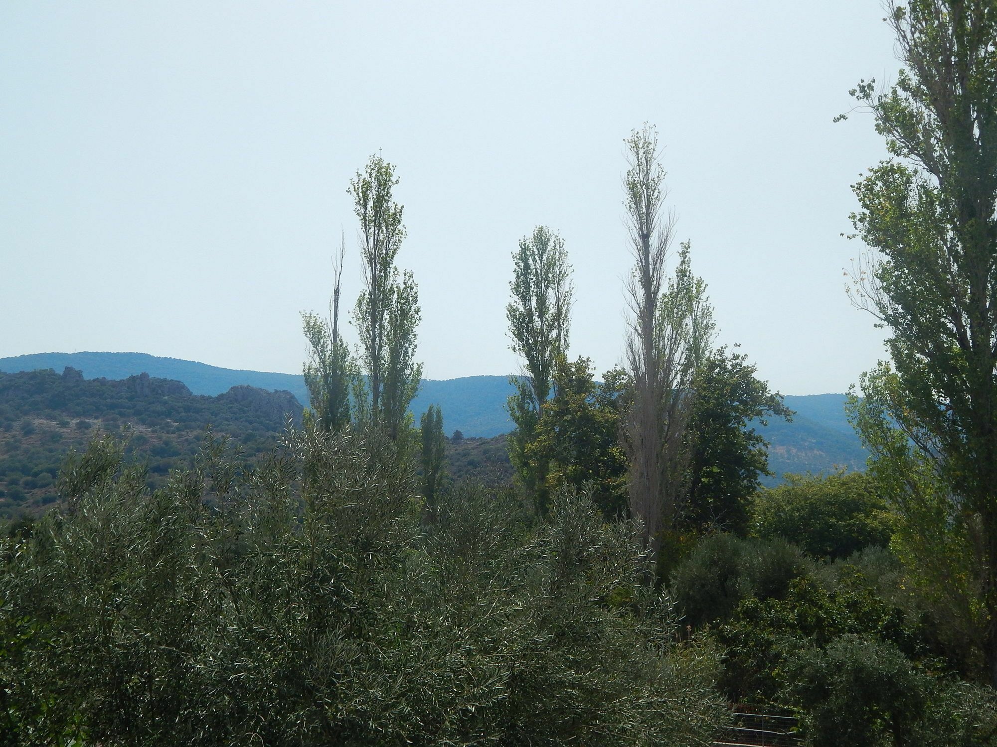 Anaxos Gardens Aparthotel Bagian luar foto
