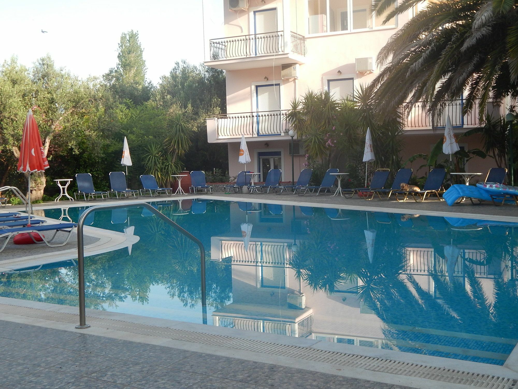 Anaxos Gardens Aparthotel Bagian luar foto